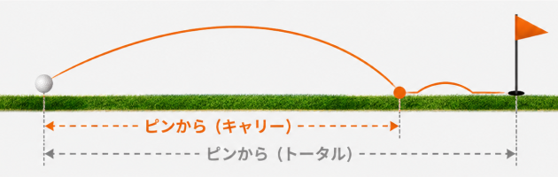 ピンからの説明図